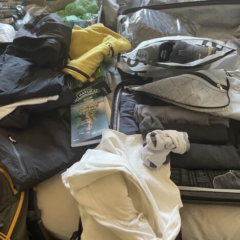 Packing Dilemmas