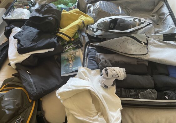 Packing Dilemmas