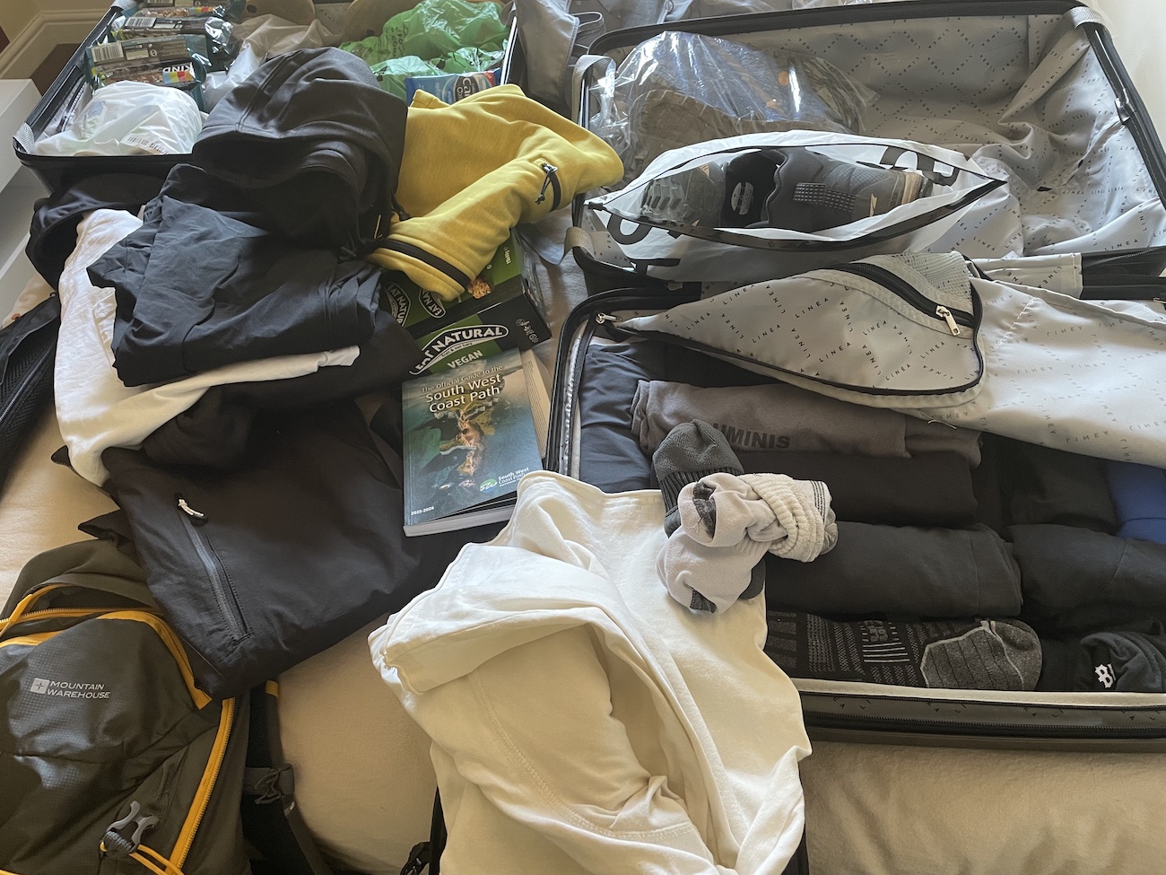 Packing Dilemmas