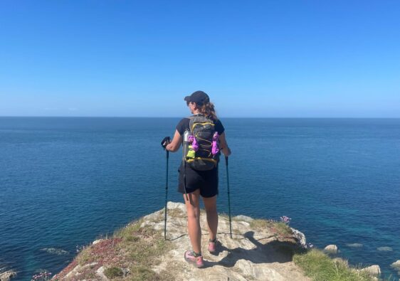 Trekrite Telescopic Walking Poles