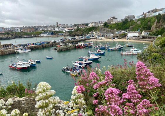 Newquay Old Harbour