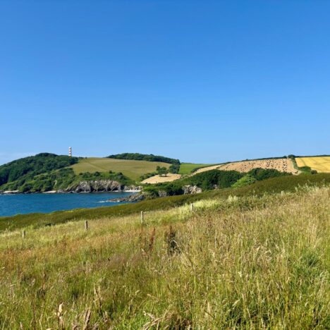 Cornish Climbs and Coastal Kindness: Days 36–40 of Our Epic South West Coast Path Adventure