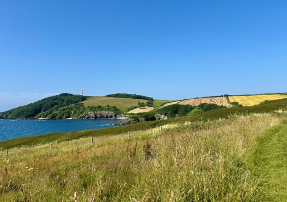 Cornish Climbs and Coastal Kindness: Days 36–40 of Our Epic South West Coast Path Adventure